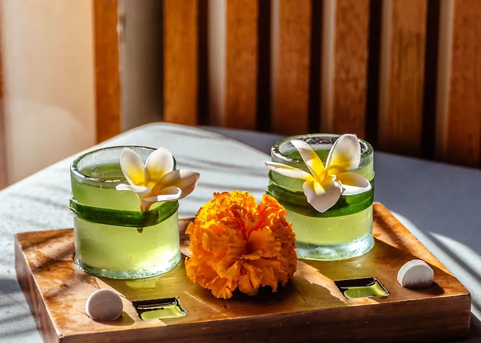 Sana Vie By Ini Vie Hospitality Villa